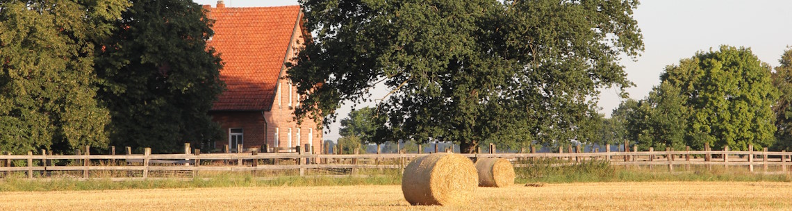 Heide Wirtz-Naujoks_1